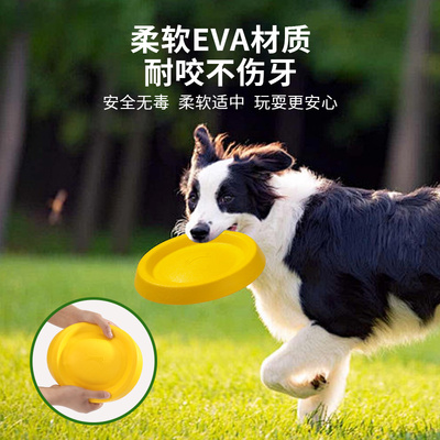 狗狗飞盘玩具互动耐咬宠物玩具