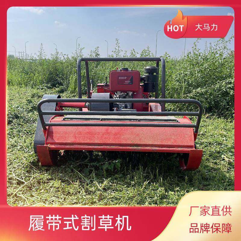 柴油甩刀式割草机全自动除草设备履带式遥控果园花园割草机,农机/农具/农膜,割灌机/割草机/油锯,淘宝优惠券,粉丝福利购,淘宝优惠卷