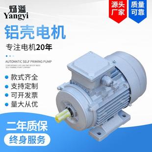 YE3M系列铝壳 2级3W三相异步电动机 100L
