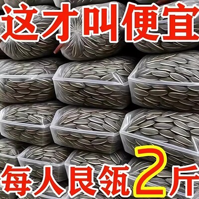 【大颗粒】内蒙古新货瓜子精选生葵花籽散装新货毛嗑批发零食年货