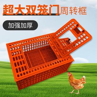 鸡笼运输笼塑料家禽周转箱筐成鸡鸭鹅鸽子笼子家用大号兔笼养殖笼