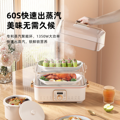 电蒸锅多功能家用蒸锅炖盅一体锅大容量隔水炖智能预约蒸汽锅蒸箱