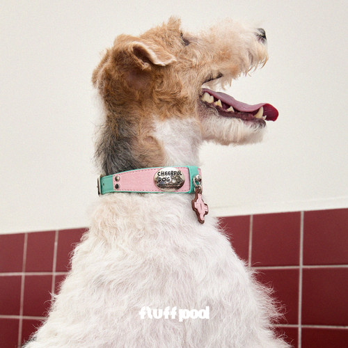 fluffpod抚拍宠物狗狗项圈脖圈