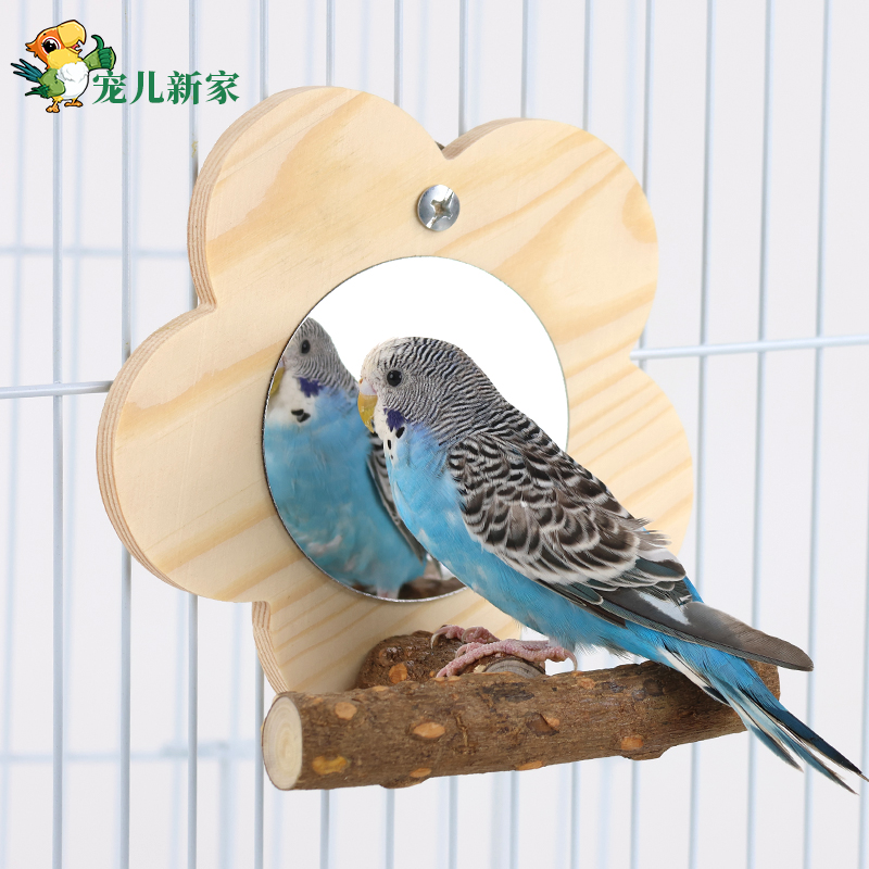 鹦鹉玩具魔法镜鸟笼玩具虎皮牡丹玄凤鹦鹉训练解压玩具配件