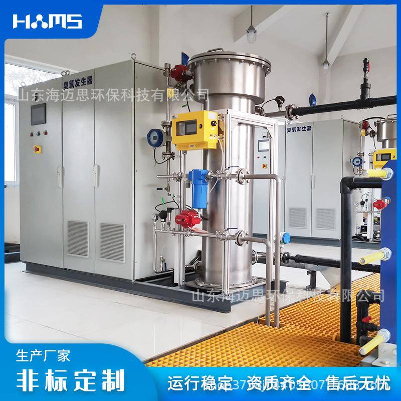 工业大型4kg臭氧发生器空气源氧气源臭氧机废水污水处理设备