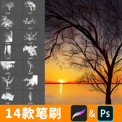procreate笔刷ps笔刷树木枯枝树干树枝秃树植物剪影枯树插画B474