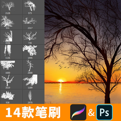 procreate笔刷ps笔刷树木枯枝树干树枝秃树植物剪影枯树插画B474
