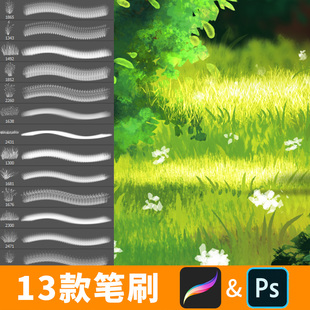 ps笔刷procreate笔刷植物手绘类观景自然草树森林树叶叶草地B461