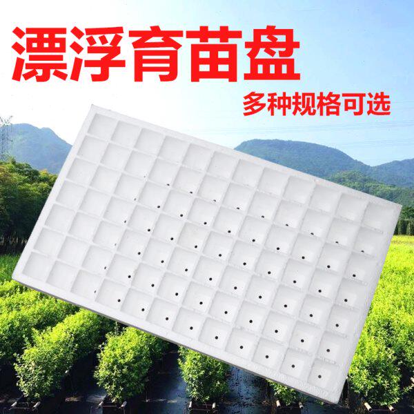 泡沫育苗盘蔬菜秧盘水培育苗盘辣椒白色泡沫盘