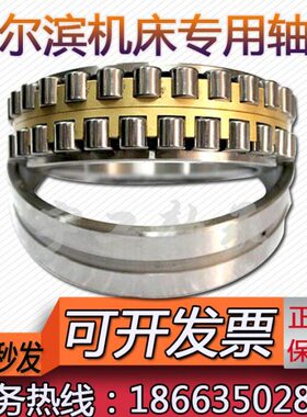 HRB哈尔滨精密机床高速轴承NN3038 3040 3044 K P5/W33