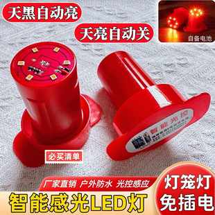 新款春节灯笼灯芯感光电池灯户外免插电智能LED灯笼防水伴侣红灯