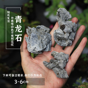 「空城里」青龙石鱼缸水陆缸造景石微景观盆景摆件装饰小石头草缸