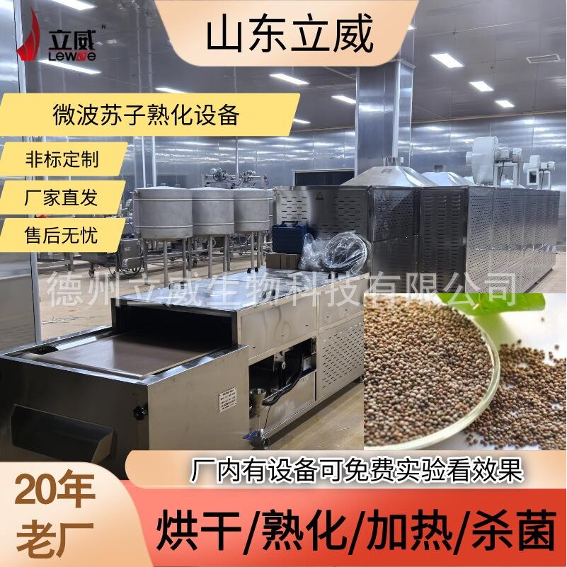 立威苏子熟化干燥机 花生米杂粮低温烘焙机器 智能化预熟机器