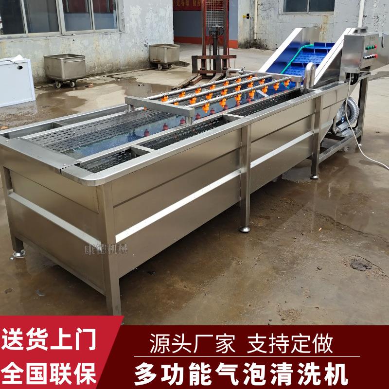 杨梅全自动气泡清洗机百香果清洗漂烫设备蓝莓臭氧杀菌清洗机