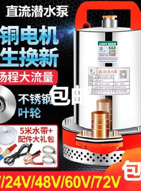 12V电动车循环o便携水抽水泵直流612vv洒水机潜水泵浇手提式防腐