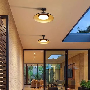 户外防水防虫阳台吸顶灯阳光房专用走廊室外屋檐自建房雨棚照明灯