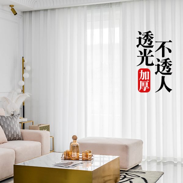 纱帘透光不透人窗纱客厅阳台半遮光沙飘窗北欧简约天丝绒白纱窗帘