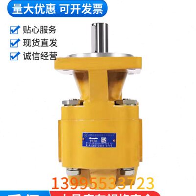 ZHCCM长HCM-液压油HC3马达8齿轮-源PS合肥Z620  马达0BFBFS20液压