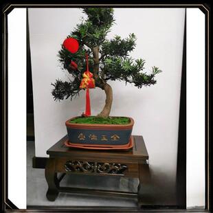 盆景底座花盘客厅室内花架矮桌假山架小鱼缸架盆栽支架实木