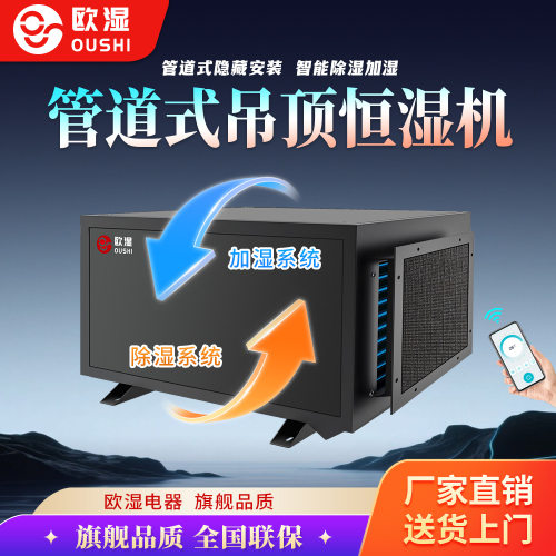 欧湿吊顶大功率除湿加湿净化消毒档案室实验室商用管道式恒湿机