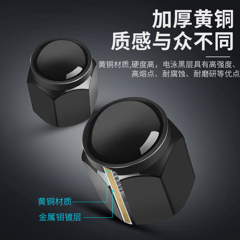 比亚迪海豚F3秦e2e3e9e5e6F0汽车轮胎气嘴帽防盗改装气门芯盖通用