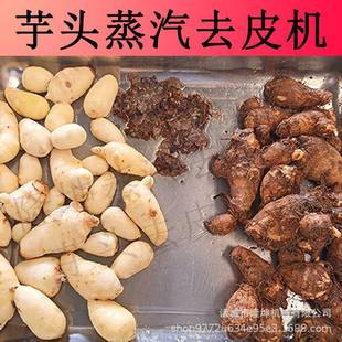 商用大型芋头去皮机全自动荔浦芋头削皮机不锈钢土豆红薯脱皮机