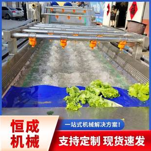 大型鲜姜清洗机器商用海鲜清洗机果蔬气泡冲浪洗菜机水果清洗设
