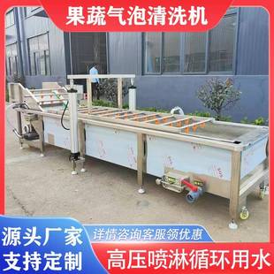 清洗机芪人参去泥沙清洗设备 芹菜大葱气泡清洗机枇杷杨梅鼓浪式