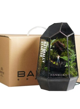 BANSHAN小森林流水桌面植物雨林缸家居网红小众定制摆件解压送礼
