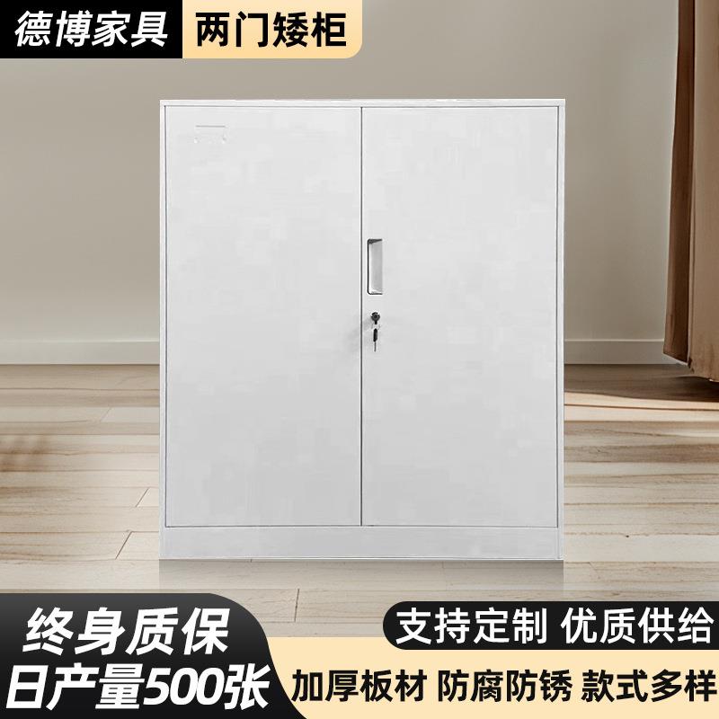 办公室二门铁皮文件柜矮柜家用抽屉储物柜档案资料工具收纳柜带锁