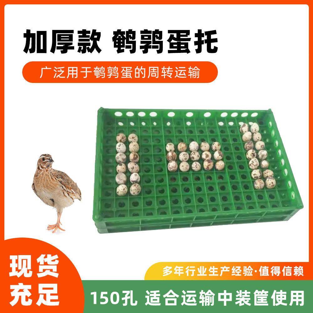 鹌鹑蛋框塑料蛋类周转箱鹌鹑蛋托150枚鹌鹑蛋托转运托加厚窝