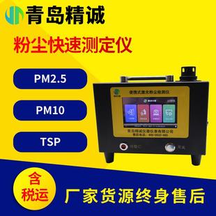可吸入颗粒物PM10激光粉尘快速检测仪空气粉尘浓度PM2.5测定仪