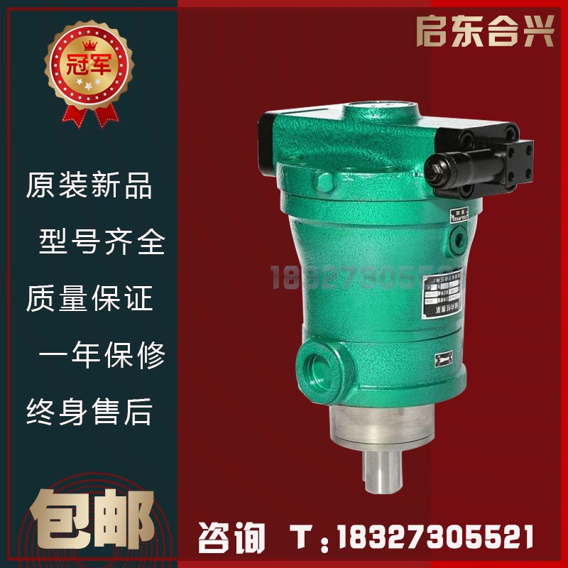 启东合兴10/16/25/32/40/63/80/100/160/250PCY14-1B/D轴向柱塞泵
