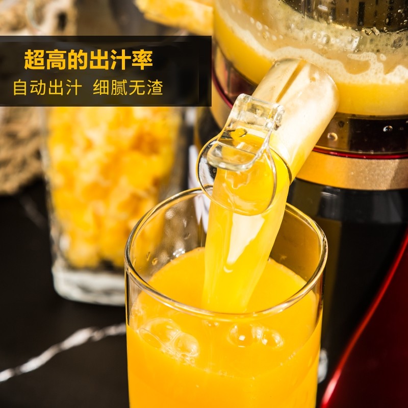 渣分离榨汁机家用全自动果蔬多功能原汁机小型炸水果汁机低速扎咋