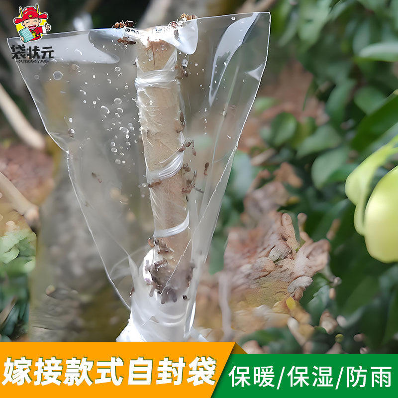 嫁接专用套袋果树保温保湿袋透明透光园艺花木树苗盆栽塑料密封袋