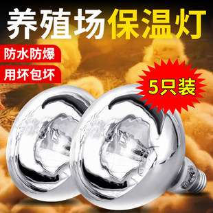 仔猪用保温灯养殖场专用保暖等小鸡育雏加热取暖灯泡兽用烤灯暖灯