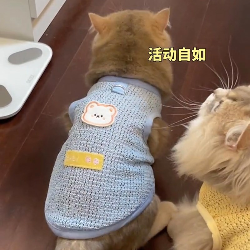 猫咪夏天衣服薄款透气可牵引2024D新款布偶猫金渐层矮脚猫网纱背