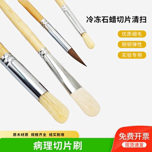 病理切片捞片毛笔石蜡切片毛笔冰冻切片清扫笔专用毛笔实验室