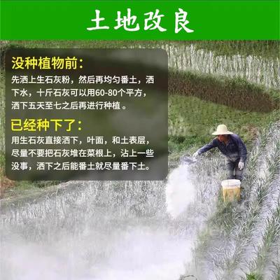 生石灰种菜专用杀虫正宗