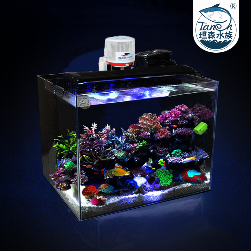 海水缸全套海水珊瑚缸小型桌面海水鱼背滤海缸金晶超白缸坦森鱼缸