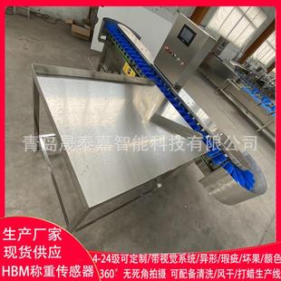 海参分选机牡蛎分级机带鱼块重量分拣秤料盒选级称称重