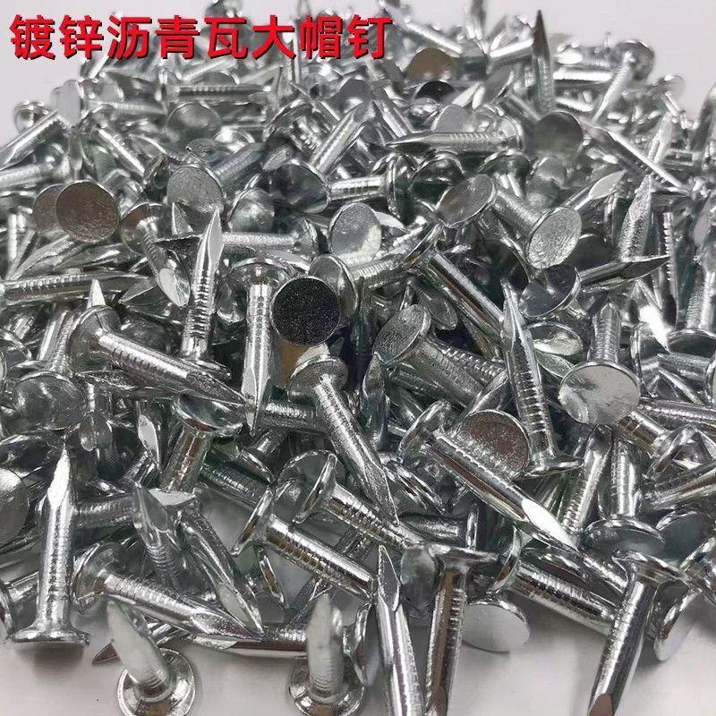 25大帽钉镀锌20长大头钉30mm长白色大帽钉大冒钉沥青瓦钉防锈镀锌
