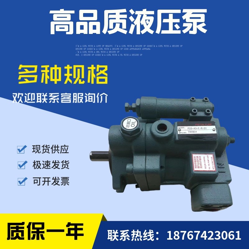 柱塞泵电动P08-A1-F-R-01/ P08-A2-F-R-01/ P08-A3-F-R-01