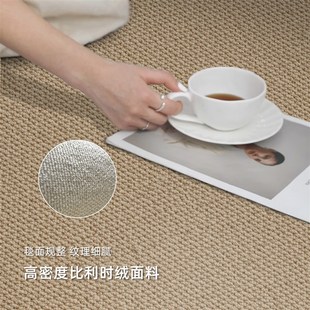 沙发地垫高级简约免洗防水家用茶几垫子加厚床边 客厅地毯2025新款