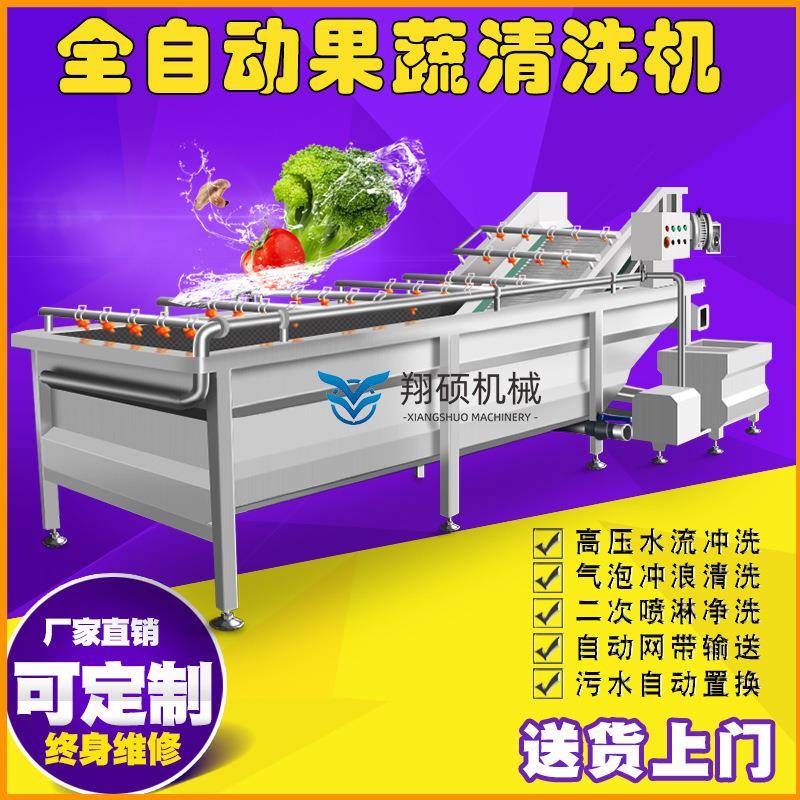 黄桃李子梨气泡喷淋清洗机叶类蔬菜不锈钢翻转清洗机洗菜机