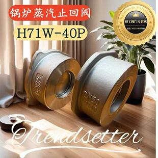 上海轩鹤 带四边对夹式止回阀 H71W-40P 不锈钢碟式止回阀 止逆阀
