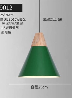 港式复古工业风吊灯餐厅火B锅饭店墨绿色店铺商用灯具