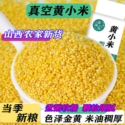 内蒙古赤峰敖汉黄小米粘糯米油多