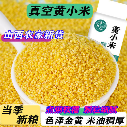内蒙古赤峰敖汉黄小米粘糯米油多