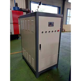 电蒸汽发生器小型全自动干洗电加热蒸汽发生器家用取暖电锅炉